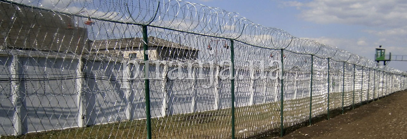 Паркан з колючої сітки Піранья