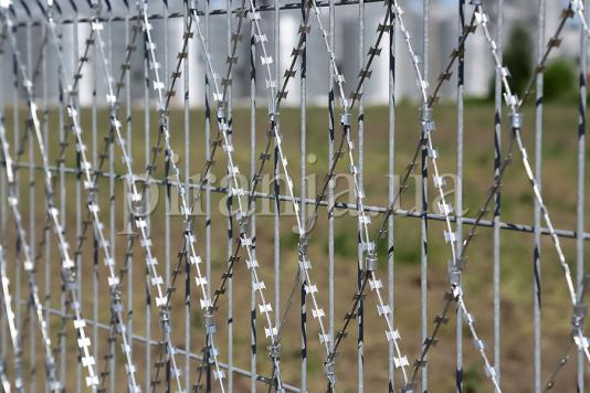 Паркан зі зварної сітки та сітка колюча Піранья