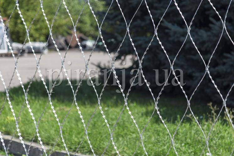 Сітка колюча Піранья 2,7х10