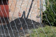 Сітка колюча Піранья 2х10 з дроту колючого Єгоза Кайман